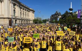 big-little-festival-anuntat-printr-un-flashmob-manifest;-800-de-copii-si-parinti-au-dansat-sincron