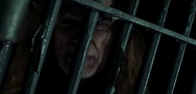 megadeth-pregateste-lansarea-piesei-„i-don’t-care”-–-teaser-video