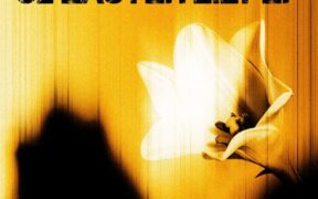 u2-a-lansat-un-album-de-paste,-“easter-lily”