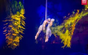 ovo-by-cirque-du-soleil-2026-la-cluj-napoca:-program-si-reguli-de-acces