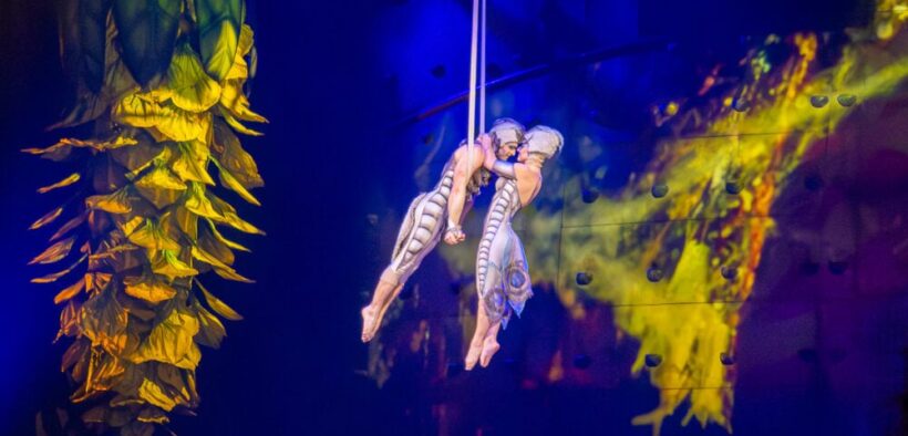 ovo-by-cirque-du-soleil-2026-la-cluj-napoca:-program-si-reguli-de-acces