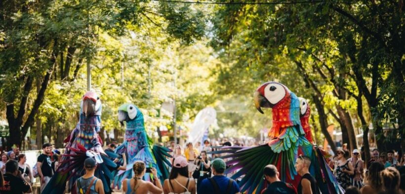 bucurestiul-intra-in-ritmul-sziget-2026-cu-un-warm-up-party-la-j’ai-bistrot