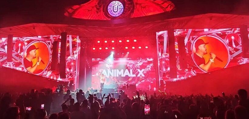 animal-x-s-a-reunit-la-untold-2026-si-a-calatorit-in-timp-alaturi-de-fani-–-video