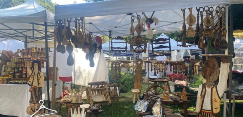 balkanik-festival-2026,-mai-mult-decat-muzica:-consulta-activitatile-propuse-de-organizatori