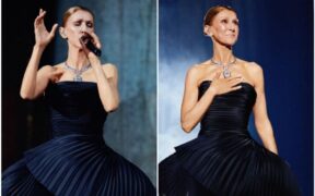 celine-dion-a-revenit-pe-scena-dupa-6-ani:-“sunt-tot-ceea-ce-sunt-pentru-ca-voi-ma-iubiti”
