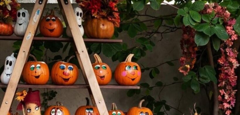 pumpkin-fair-2026-are-loc-pe-3-si-4-octombrie-la-grigore-antipa;-afla-detalii